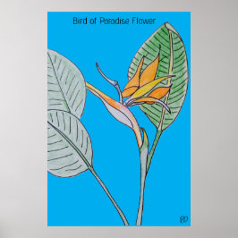 Póster Pájaro de la flor del paraíso
