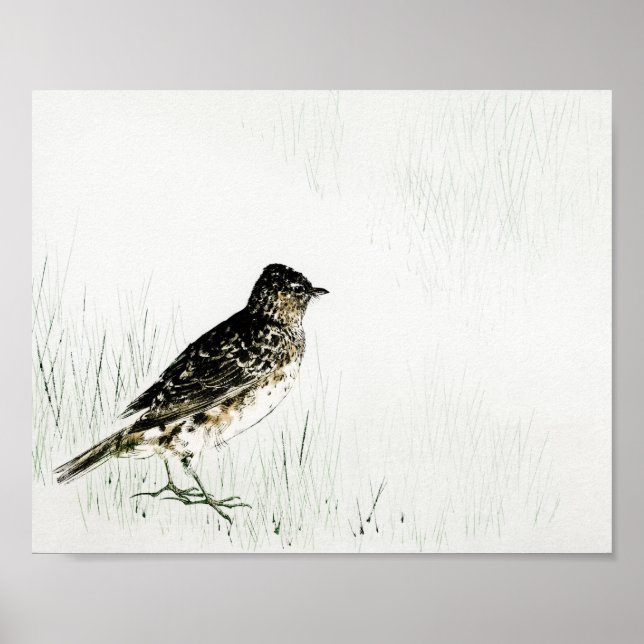 Póster Pájaro de larva, Watanabe Seitei (Frente)