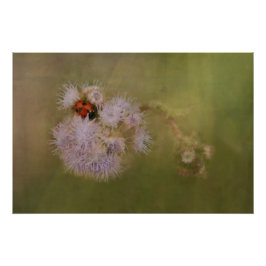 Póster Pájaro de oro en Dandelion Close, arte fotográfico