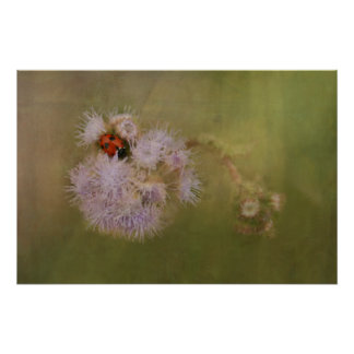 Póster Pájaro de oro en Dandelion Close, arte fotográfico