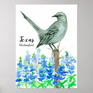 Póster Pájaro de Texas Mockingbird