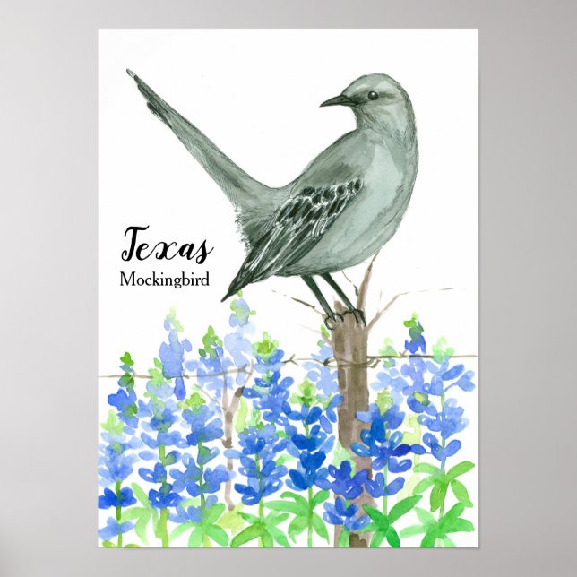 Póster Pájaro de Texas Mockingbird (Frente)