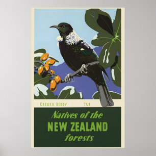 Póster Pájaro del Bosque de Nueva Zelanda Baya de Karaka 