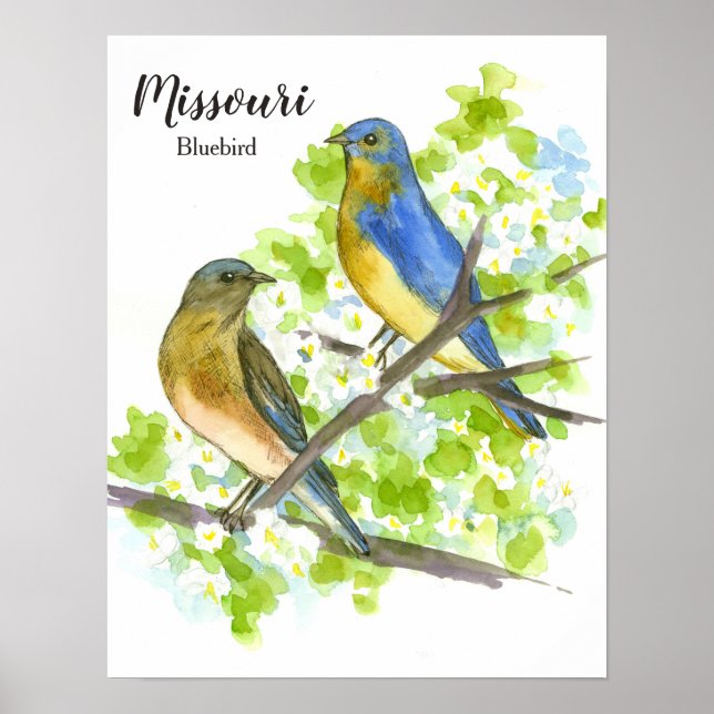 Póster Pájaro del estado de Bluebird (Frente)