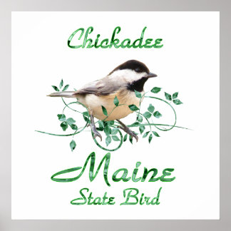 Póster Pájaro del estado de Chickadee Maine