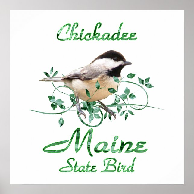 Póster Pájaro del estado de Chickadee Maine (Frente)
