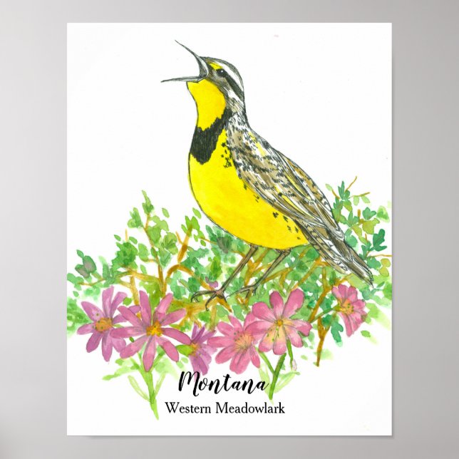 Póster Pájaro del estado de Montana Meadowlark Flor Bitte (Frente)