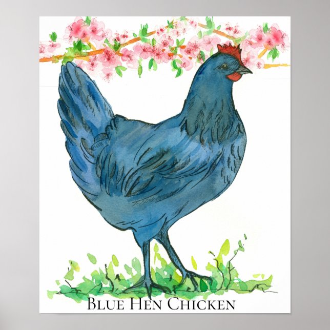 Póster Pájaro del estado de Pollo Azul de Delaware (Frente)