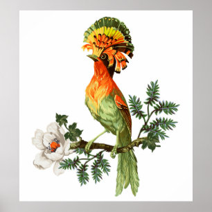 Póster Pájaro del paraíso y flores exóticas en una playa 