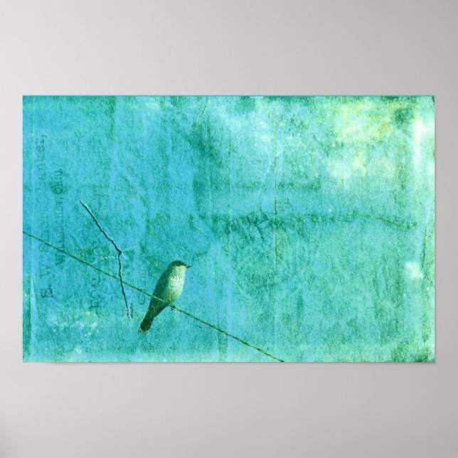 Póster Pájaro en un cable (Frente)