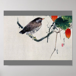 Póster Pájaro en una rama de Trichosanthes, Watanabe Seit