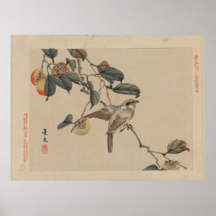 Póster Pájaro encaramado en el árbol del Persimmon - Vint
