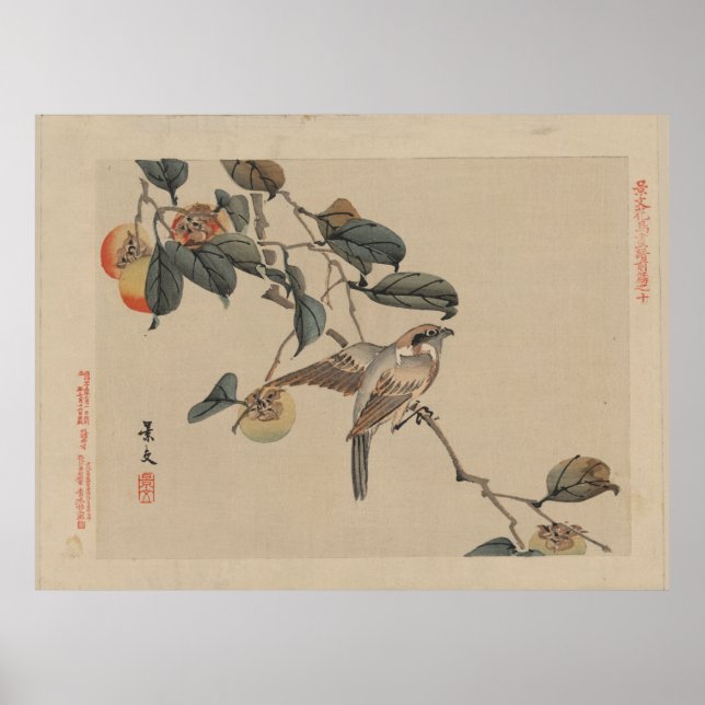 Póster Pájaro encaramado en el árbol del Persimmon - Vint (Frente)