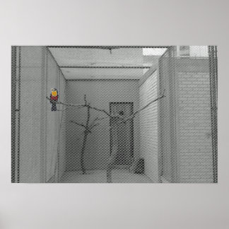 Póster Pájaro enjaulado