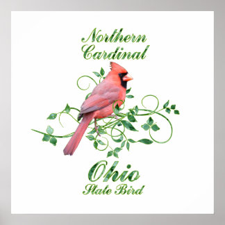 Póster Pájaro estatal Cardinal Ohio
