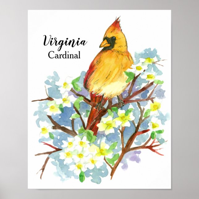 Póster Pájaro estatal de Virginia Cardinal Watercolor fem (Frente)