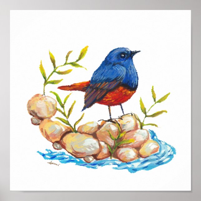 Póster Pájaro filipino endémico de Luzon Water Redstart (Frente)