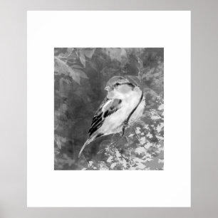 Póster Pájaro Gorrión Acuarela en Bosque