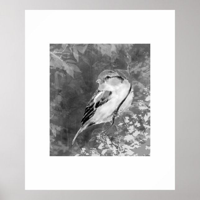 Póster Pájaro Gorrión Acuarela en Bosque (Frente)