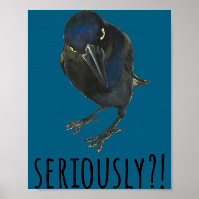 Póster Pájaro negro Grackle negro Mpy en serio (Frente)