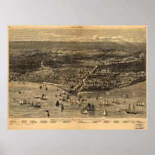 Póster Pájaro-Ojo-Vista de Chicago antes del gran fuego