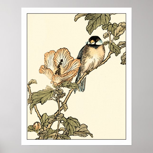 Póster Pájaro oriental encaramado en rama (Frente)