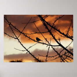 Póster Pájaro parado en un árbol con amanecer en la parte