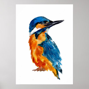 Póster Pájaro pequeño Kingfisher