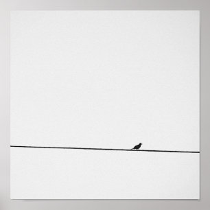 Póster Pájaro posado en blanco y negro