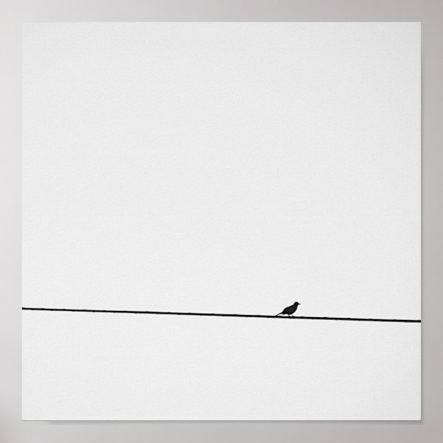 Póster Pájaro posado en blanco y negro (Frente)