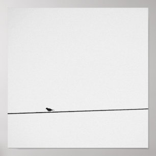 Póster Pájaro posado en blanco y negro