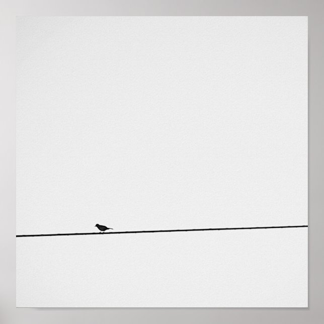 Póster Pájaro posado en blanco y negro (Frente)