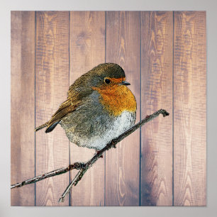 Póster Pájaro Robin abstracto moderno en madera rústica