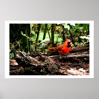 PÓSTER PÁJARO ROJO