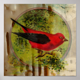 Póster Pájaro rojo vintage