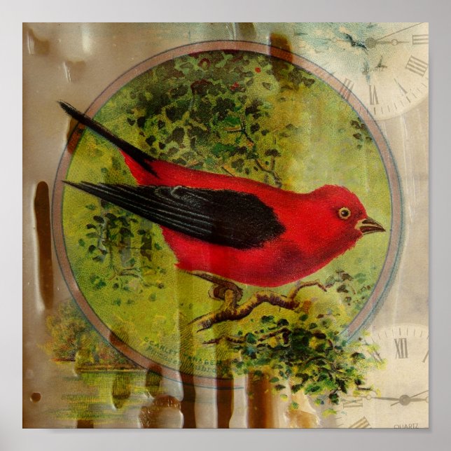 Póster Pájaro rojo vintage (Frente)