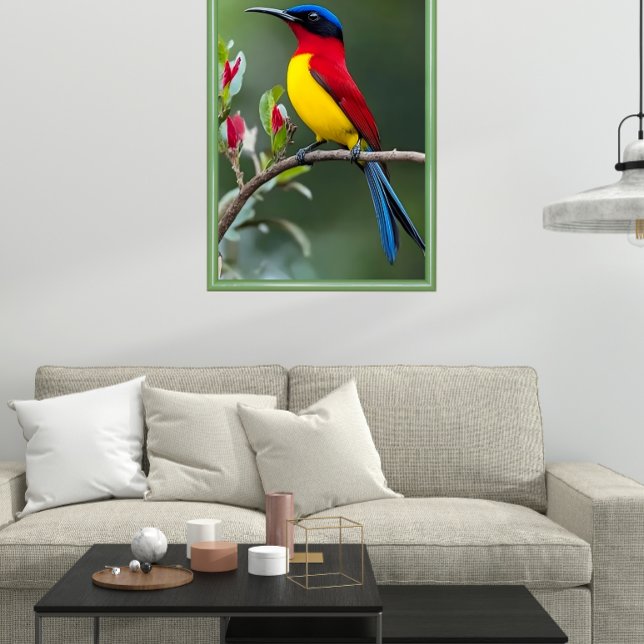 Póster Pájaro sol de Mrs. Gould (Subido por el creador)