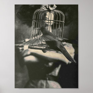 Póster Pájaro y dama enjaulados surrealistas en blanco y 