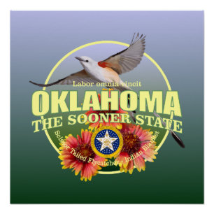 Póster Pájaro y flor de estado de Oklahoma