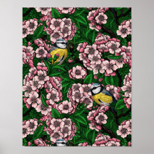 Póster Pájaros azules en el floreciente cerezo en verde