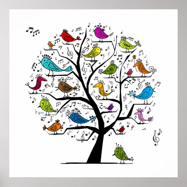 Póster Pájaros Cantores Musicales (Frente)