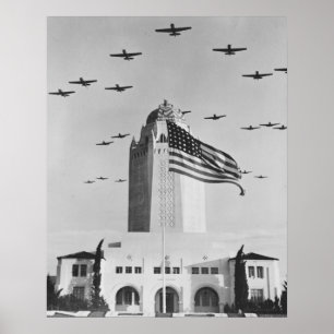Póster Pájaros de la guerra en alto