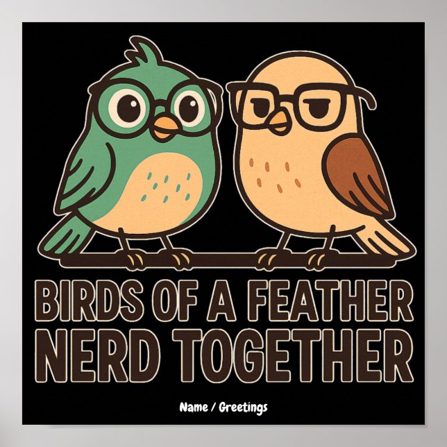 Póster Pájaros de una Pluma Nerd Junto Divertido Geek Páj (Frente)