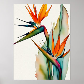 Póster PÁJAROS DEL Poster PARAÍSO