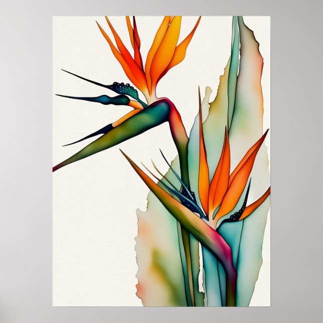 Póster PÁJAROS DEL Poster PARAÍSO (Frente)