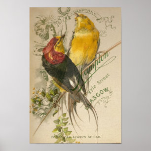 Póster Pájaros en la parte posterior de la foto del