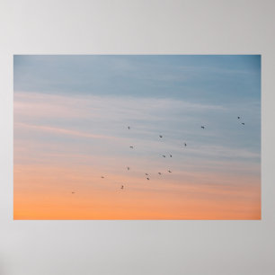PÓSTER PÁJAROS EN LOS CIELOS AZUL Y NARANJA