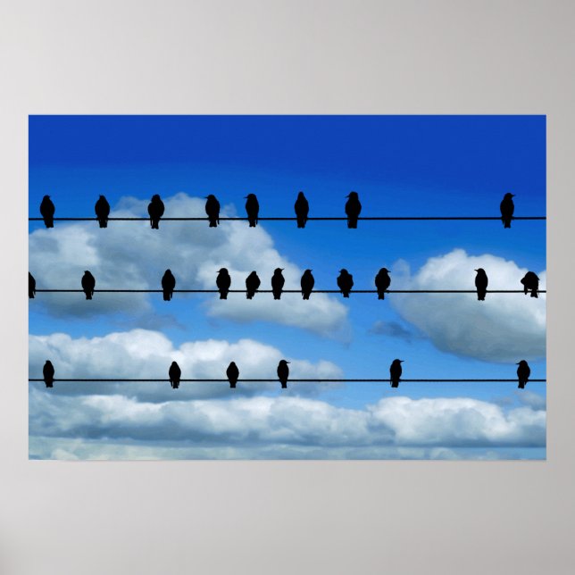 Póster Pájaros En Un Alambre (Frente)