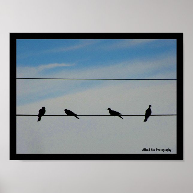Póster Pájaros en un alambre (Frente)