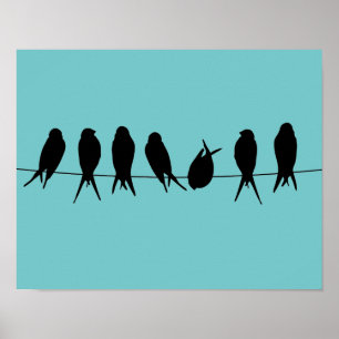Póster Pájaros en un poster del alambre